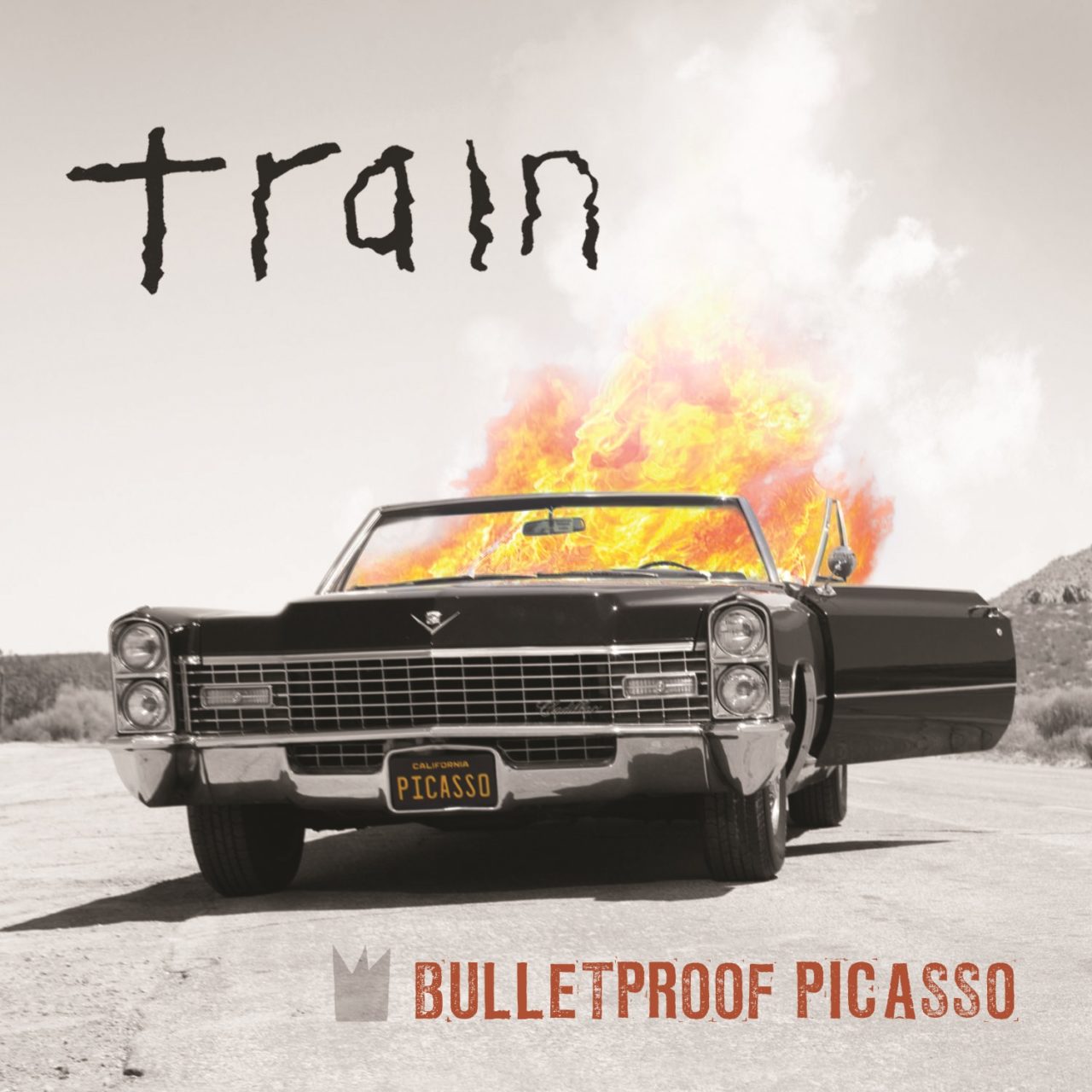 Train Bulletproff Picasso 
